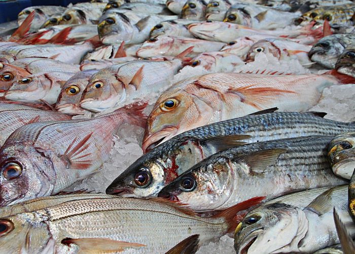 Poissons frais sur glace
